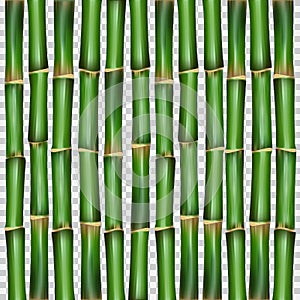 Bamboo grass oriental wallpaper vector illustration