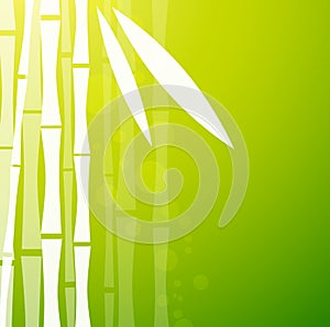 Bamboo Green Background