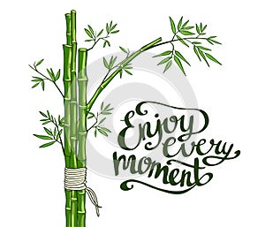 Bamboo green. Enjoy every moment card.