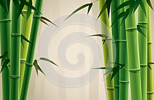 Bamboo Grove