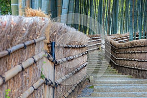 Bamboo Grove at Adashino Nenbutsuji Temple in Kyoto, Japan