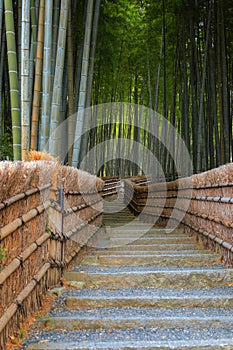 Bamboo Grove at Adashino Nenbutsuji Temple in Kyoto, Japan