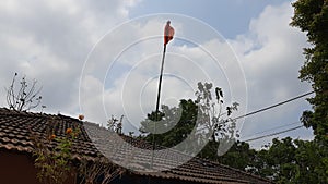 Bamboo Gudhi hoisted outside home in konkan photo