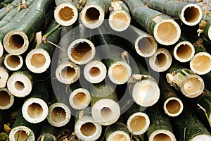 Bamboo holes, Bamboo piles