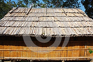 Bamboo house