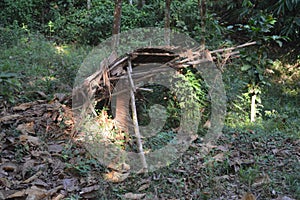 Bamboo house collapse. Bamboo house on forest