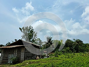 A bamboo house in the forest under clouded blue sky against natural background