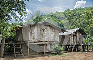 Bamboo house in the jungle.