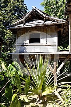 Bamboo house in the park Anduze bamboo photo