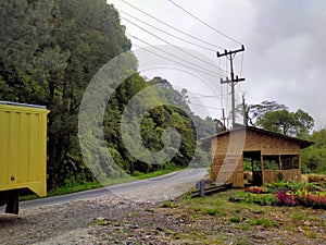 A bamboo house at side way and forest