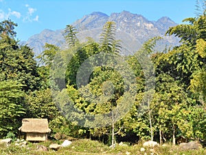 A Bamboo Hut, Chiang Dao, Chiang Mai, Thailand