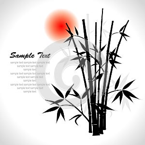 Bamboo, illustration