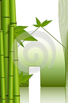 Bamboo illustration