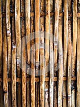 Bamboo interlace craft texture vertical