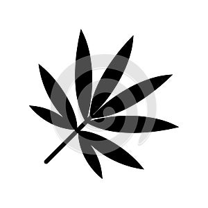 Bamboo leaf icon, isolated on white background