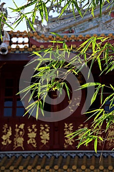 Bamboo leaves