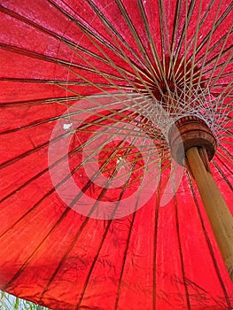 Bamboo leaves in old red umbrella