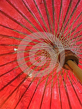 Bamboo leaves in old red umbrella
