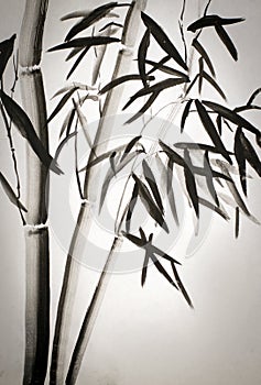 Bamboo leaves