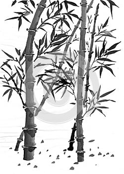 Sumi Bamboo forest painting