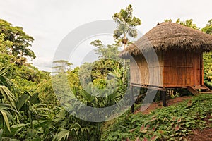 Bamboo Lodge In National Park Yasuni