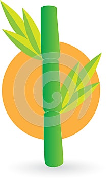 Bamboo logo