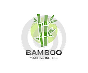 Bamboo logo template. Green bamboo trees vector design