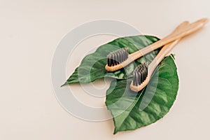 Bamboo natural toothbrushes and fresh leaves on pale background. Zero waste and plastic free concept