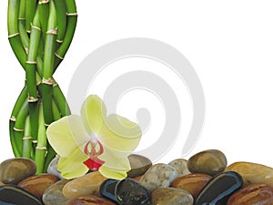 Bamboo orchid and Zen rocks Background