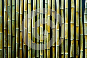 Bamboo panel