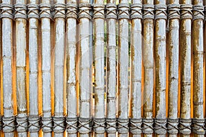 Bamboo panel