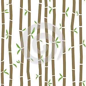 Bamboo pattern