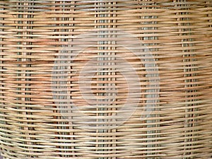 Bamboo Pattern