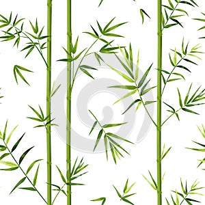 Bamboo pattern. Japanese seamless texture with vertical tree trunks and leaves. Chinese wallpaper template or decorative