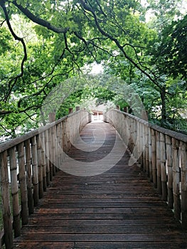 Bamboo pedestrian suspension bridge close up background in Hungary