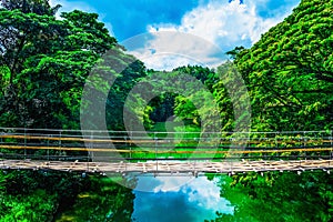 Bamboo pedestrian suspension bridge over river