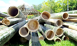 Bamboo pile