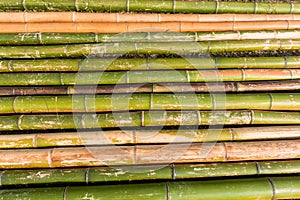 Bamboo Poles Background