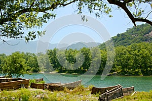 Bamboo raft by the river