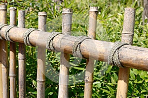 Bamboo rustic fence