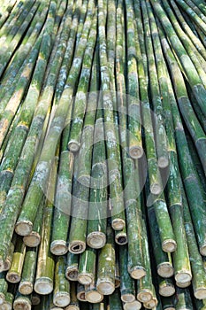 Bamboo is sawn