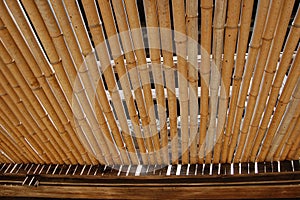 Bamboo screen at Miyajima