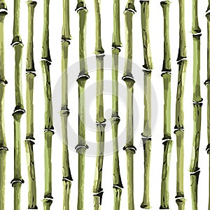 Bamboo Seamless Vertical Pattern on white background