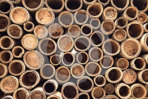 Bamboo section background