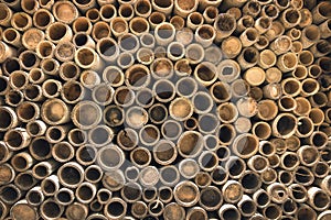 Bamboo section background