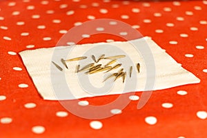 Bamboo seeds on a paper, ready for planting photo