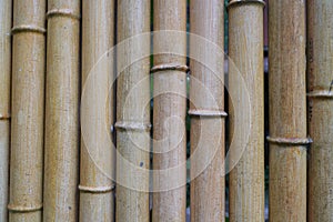 Bamboo-shaped fence made of plastic