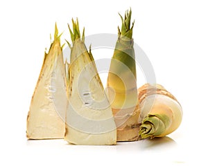 Bamboo shoot