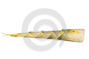 Bamboo shoot