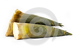 Bamboo shoot